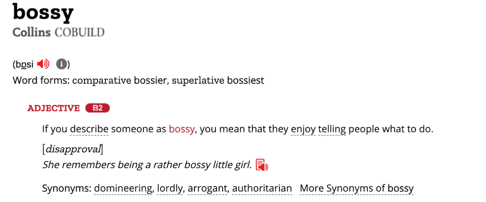 bossy definition